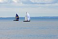 DSC_4003.JPG