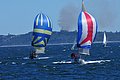 DSC_5783.JPG