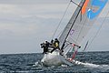 DSC_2597.JPG
