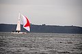 DSC_1536.JPG