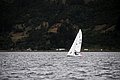 DSC_1655.JPG