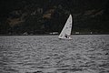 DSC_1656.JPG