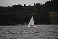 DSC_1659.JPG