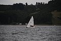 DSC_1660.JPG