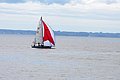 DSC_3946.JPG