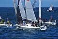 DSC_4953.JPG
