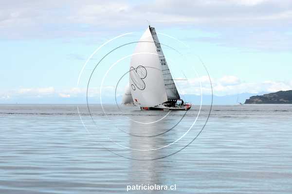 DSC_0710.JPG