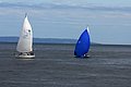 DSC_3921.JPG