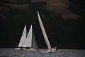 DSC_1823.JPG