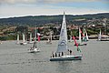 DSC_8590.JPG
