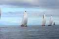 DSC_0678.JPG