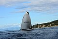 DSC_0686.JPG