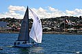 DSC_4288.JPG
