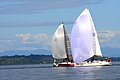 DSC_0816.JPG