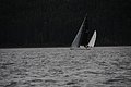DSC_1672.JPG