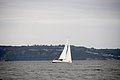 DSC_1637.JPG