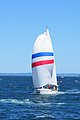 DSC_5487.JPG