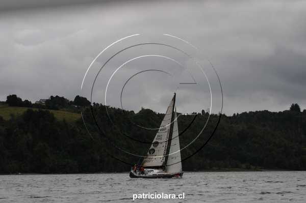 DSC_3164.JPG