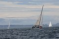DSC_2978.JPG