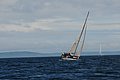 DSC_3020.JPG