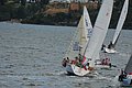 DSC_9369.JPG