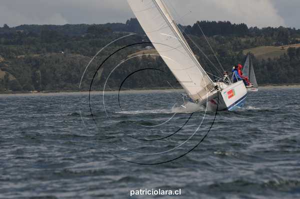 DSC_2867.JPG