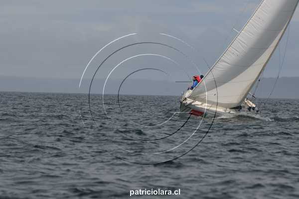 DSC_2890.JPG