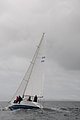 DSC_2311.JPG