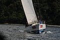 DSC_2950.JPG