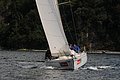 DSC_2954.JPG