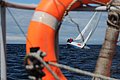 DSC_3007.JPG