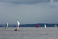 DSC_3782.JPG
