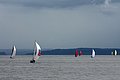 DSC_3783.JPG