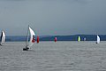 DSC_3788.JPG