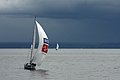 DSC_3791.JPG