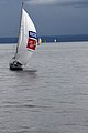 DSC_3795.JPG