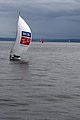DSC_3810.JPG