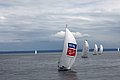DSC_3819.JPG