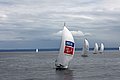 DSC_3820.JPG