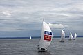 DSC_3822.JPG