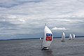 DSC_3823.JPG