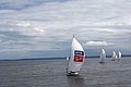 DSC_3824.JPG