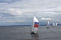 DSC_3825.JPG