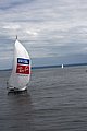DSC_3826.JPG