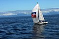 DSC_3849.JPG
