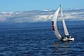DSC_3851.JPG