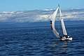 DSC_3852.JPG