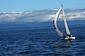 DSC_3853.JPG