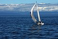 DSC_3855.JPG