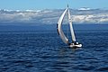 DSC_3856.JPG